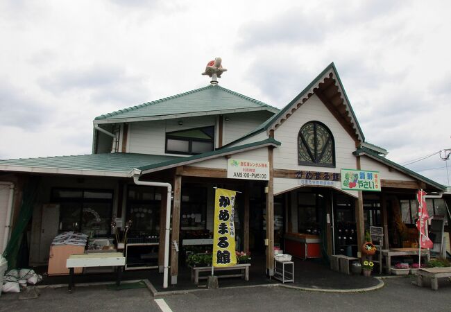 かめまる館