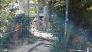 かぐや姫伝説が生まれた場所