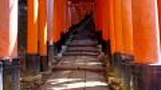 外国人に人気№１！