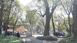 けっこう広範囲。