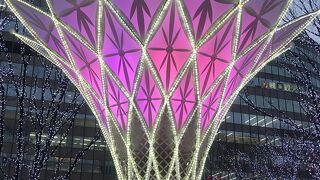 暗くなるとさらにきれいです