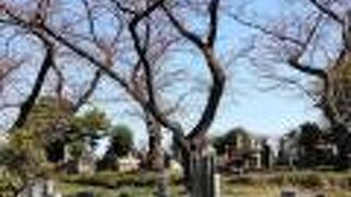 公園のような雰囲気の場所もあり、桜の樹の下にはベンチも置いてあり、お花見スポットでもあります。