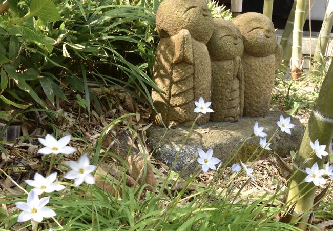 抹茶とお団子のセット