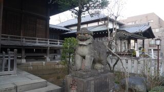 狛犬の眼光がするどい。