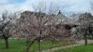 弘道館の周辺、旧水戸城三の丸の跡の公園です