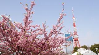 昼も夜もきれい。