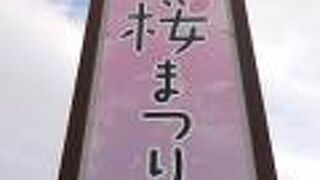 2022年も、規模縮小こそあれ、桜まつり開催