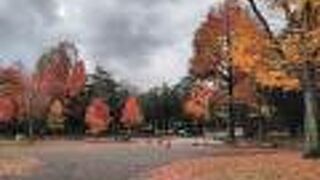 紅葉は真っ盛りという感じ