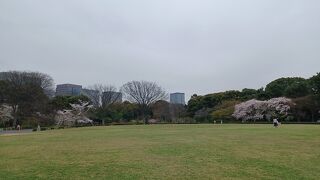 無料で見学出来ました。