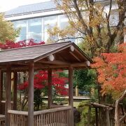 博物館周辺の庭園の紅葉も感動的