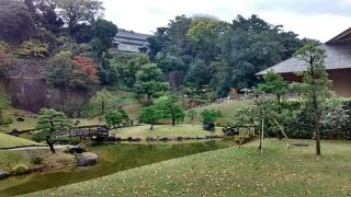 さすが日本の庭園という感じです。