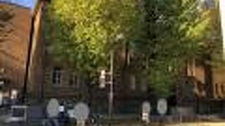 無料で入場できます