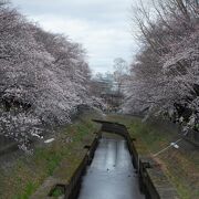 花見の時期には是非とも行ってみて下さいな！