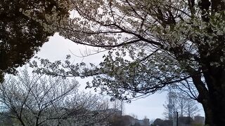 不忍池の弁天堂と東京スカイツリー