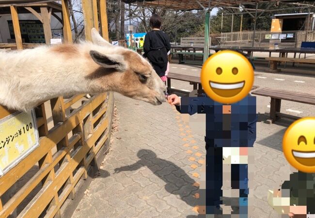 宝登山小動物公園 クチコミ アクセス 営業時間 長瀞 フォートラベル