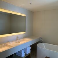 ダブルベーシンです