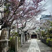 梅や桜が綺麗な神社