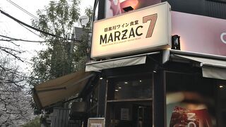 今週が見頃、目黒川の桜