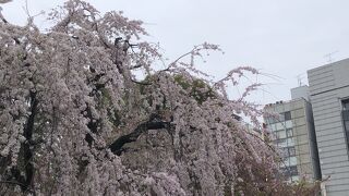 入る導線によって、高低差があります。