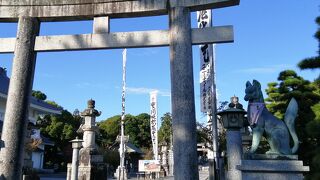 見どころいろいろ