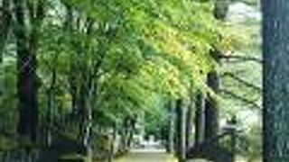 軽井沢から足を延ばして