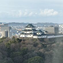 部屋から見た和歌山城。窓が開かないので室内が反射している。