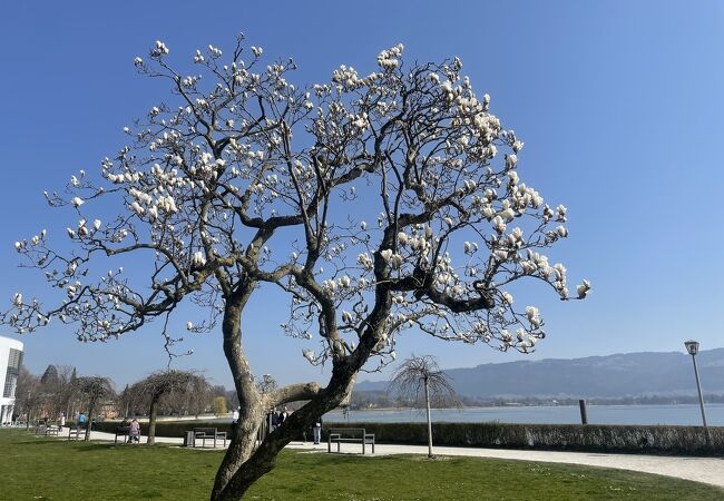 市立公園 （リンダウ）