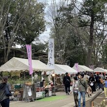 露店は氷川参道に一部あるのみでした。