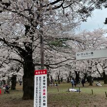 今年も宴会等、自粛です。