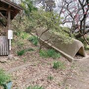 復元された埴輪登窯の中には埴輪が並んでいます