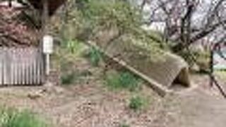 復元された埴輪登窯の中には埴輪が並んでいます