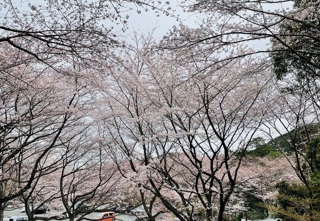 松阪市森林公園