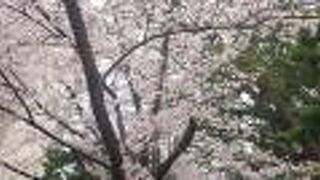 休憩用の椅子があり、ゆったり参拝できました