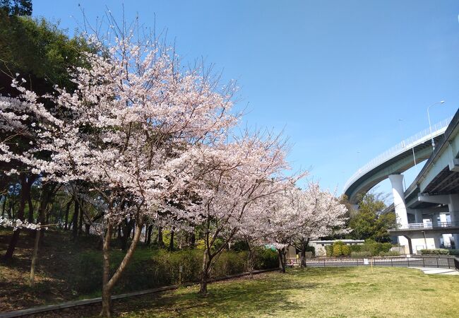 関西空港 泉佐野の公園 植物園 クチコミ人気ランキングtop5 フォートラベル 大阪