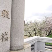 桜の開花時期である、3月末に訪問  