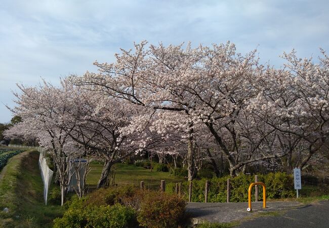 大井関公園