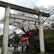 延命息災のご利益がある井戸や芭蕉句碑など細かい見どころもあり