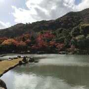 曹源池庭園は、紅葉の時期に嵐山で最も素晴らしい場所