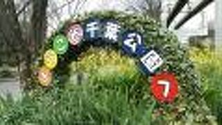 花見の時期は平日でも結構人が多かったです