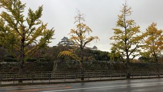 見晴らしが良い！