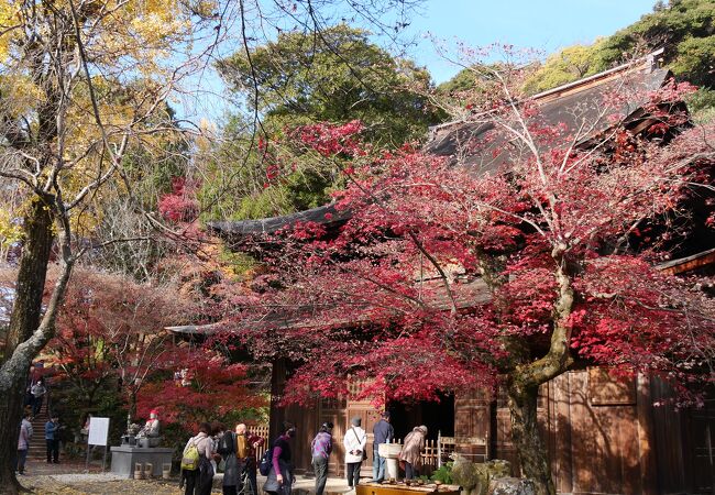 定光寺