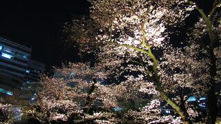 ビルに囲まれた庭園