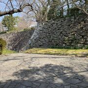 福岡城の石垣が見られる