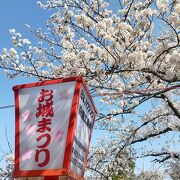 桜名所百選の城郭