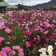 小豆島の観光スポット