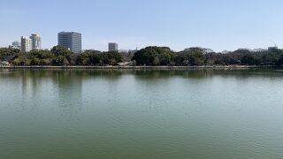 近所に欲しい公園