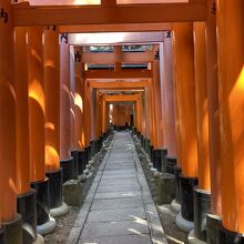 千本鳥居です。