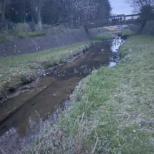 桜の季節もおすすめ