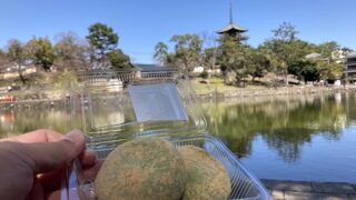 高速餅つきで有名！日本一美味しくて早いよもぎ餅を堪能