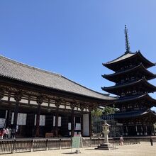 ゴールデンコンビです。